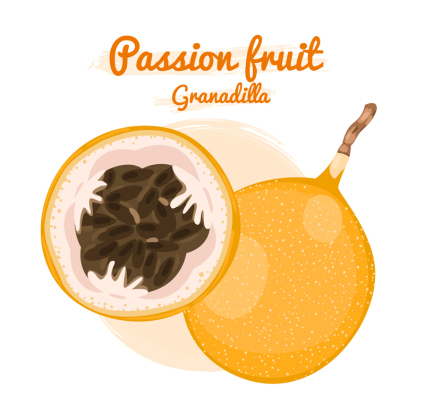 Yellow passion fruit vector material