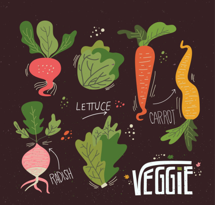 6 colored vegetables design vector