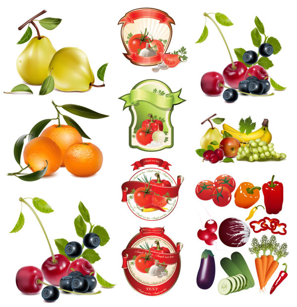 Theme Vector fruits and vegetables
