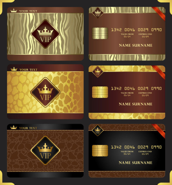 Gorgeous Jinzun VIP card - Vector