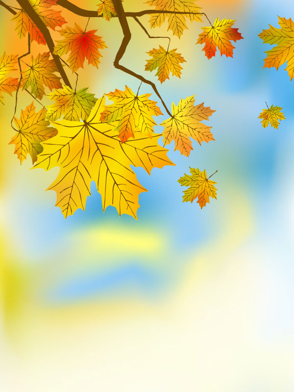 Beautiful maple leaf background 03 - vector