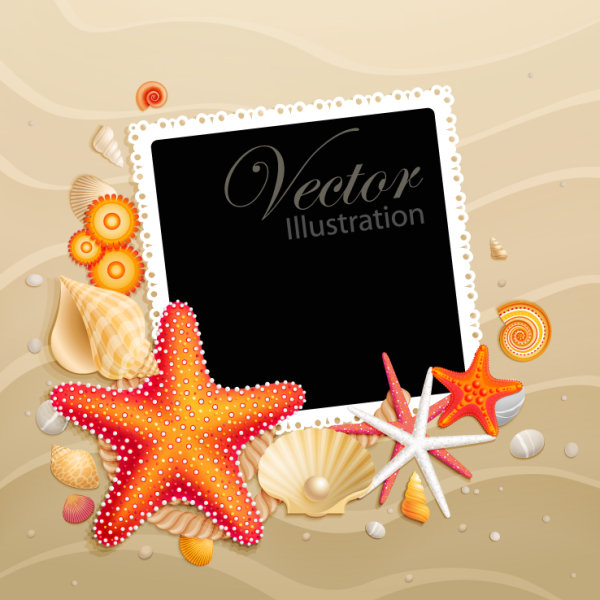 Shells and starfish material 05 - vector
