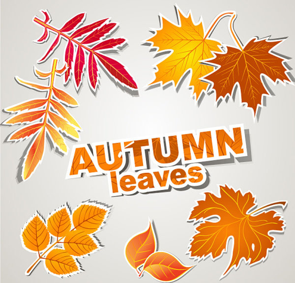 Leaves tags 001 - vector material