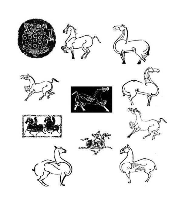 Animal rubbing vector material