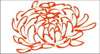 Chrysanthemum pattern vector