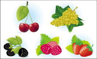 Vector Fruits		