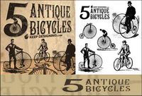 Vector old European bicycle		