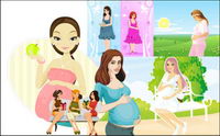 7 pregnant women, Vector