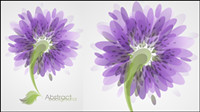 Fashion flowers vector material -3