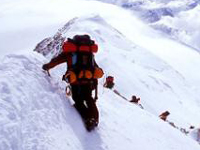 35 really appreciate the beautiful photographs