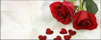 Two red roses and heart-shaped picture