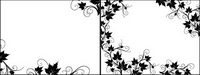 Black and white rattan plant lace border Vector