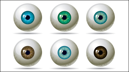 A variety of eye pupil - vector