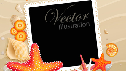 Shells and starfish material 05 - vector