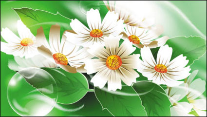 Beautiful flowers 03-- vector material