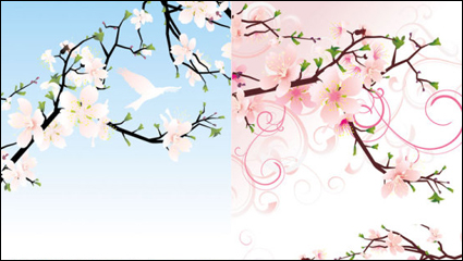 Beautiful peach - vector