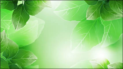 Beautiful green leaves vector material