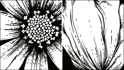 The printmaking flowers vector material -1