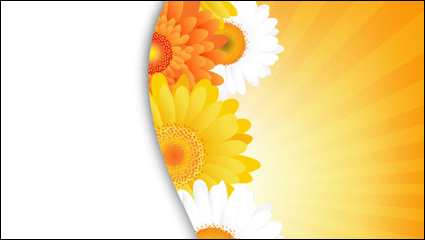 Flower petals lace background 05 - vector material