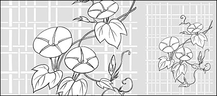 Vector line drawing of flowers-26(Morning glory, lattice background)