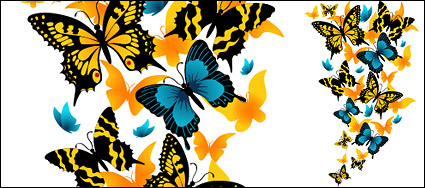 Vector material exquisite butterfly