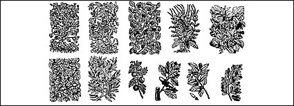 Vector plant material elements of black and white